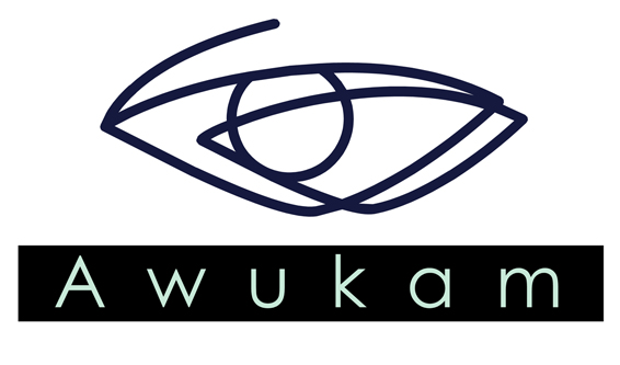 Awukam – Monitoring, Systemy alarmowe, Zabezpieczenia l Wrocław